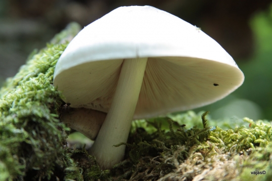 Pod lampou je najvacsia tma