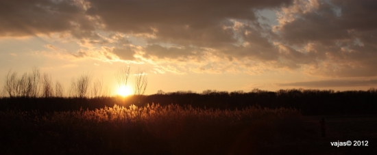 Zimne Povodie Dunaja