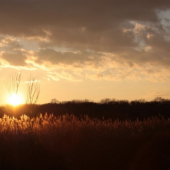 Zimne Povodie Dunaja