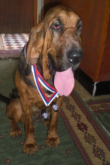 Chovná stanica GENITRIX - bloodhound