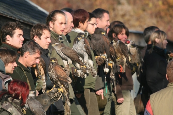 Sokoliarske stretnutie Sečovce 2011