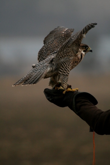 Len sa ponaťahujem a idem na to...