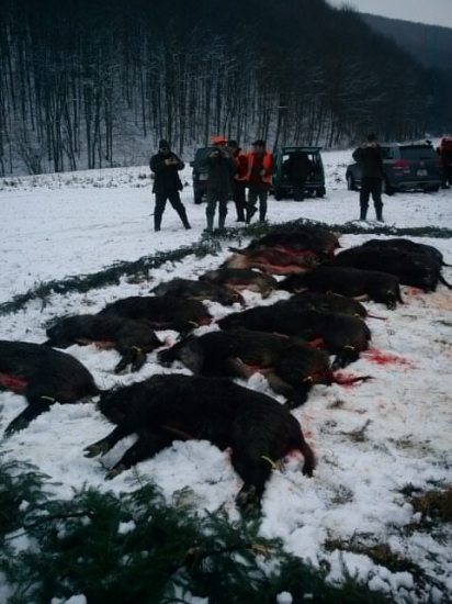 úspešný výrad poľovníkov :)