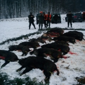 úspešný výrad poľovníkov :)