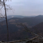 Muráň