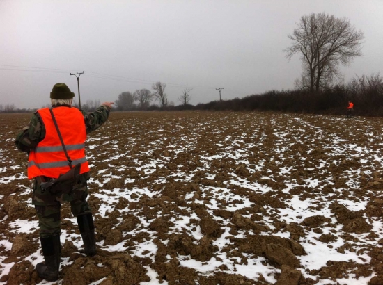 spoločná na bažanty