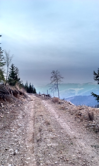 cestou fotene mobilom