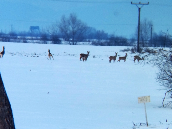 fotené mobilom priloženým k ďalekohladu, preto taká kvalita