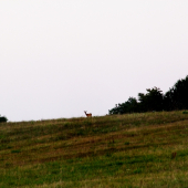 Na horizonte