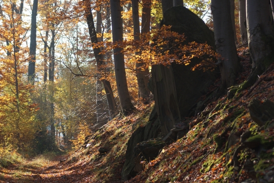 Hned po ránu šoulačka