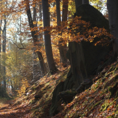 Hned po ránu šoulačka