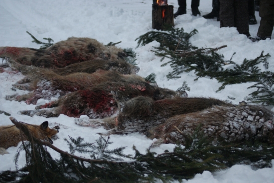 Výřad Mírov II 2010