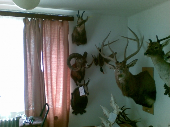 U kamaráda preparátora