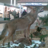Výstava  2010