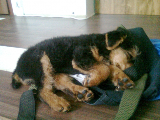 Bak si lehne všude..