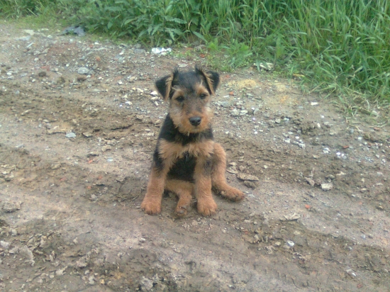 Tak sem byl unavenej...