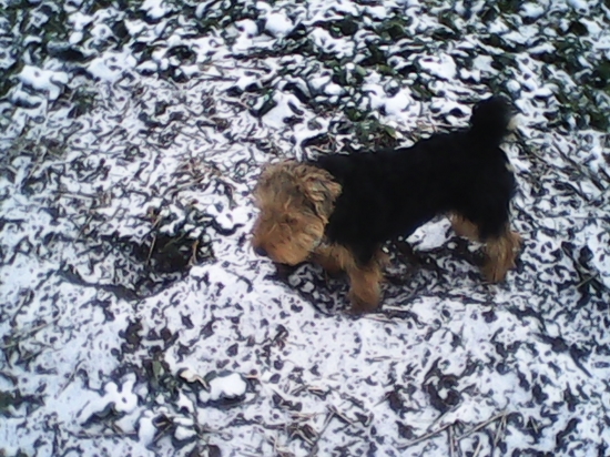 Byla tam kočka,ale....