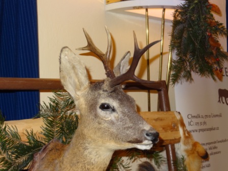 V.  Svatohubertské Slavnosti Boskovice