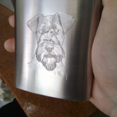 Placatka Welsh terier