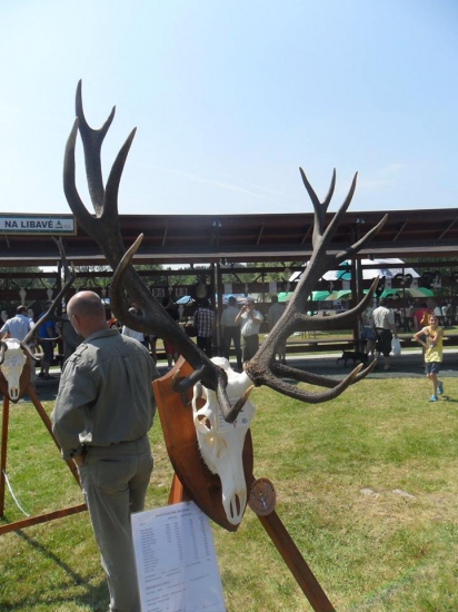 Les, myslivost a kůň na Libavé