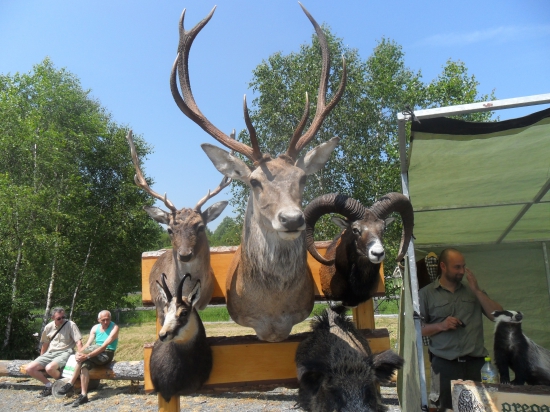 Les, myslivost a kůň na Libavé