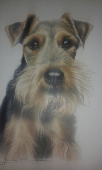 Náš chovnej pes Bak...jak živej