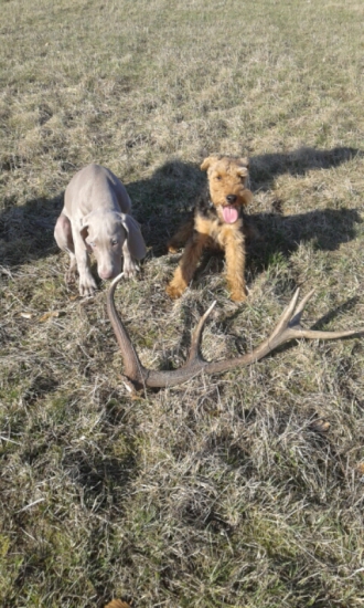 Hold jsme jedničky....