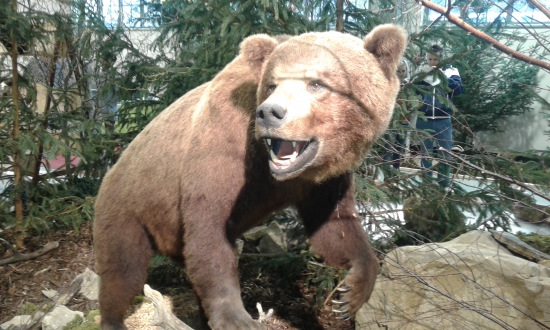 Floria Kroměříž 2016