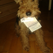 Jo jen tak to tam leželo .....