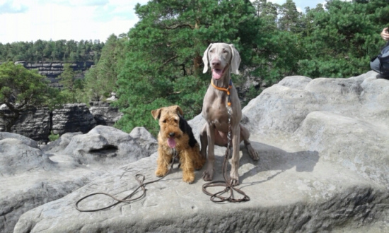 Až tam jsme došli...