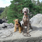 Až tam jsme došli...