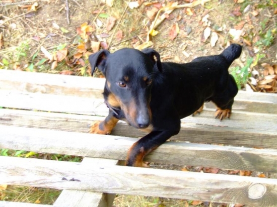 Leo chce ist tiez na posed:-)