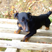 Leo chce ist tiez na posed:-)