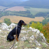 pozorovatel :-)
