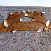 od Bognera pod zhody