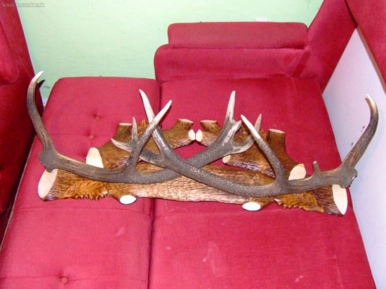 zhody na podlozke od Bognera