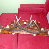 zhody na podlozke od Bognera