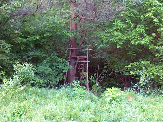 perfektné miestečko