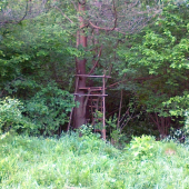 perfektné miestečko