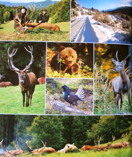 Zadná strana katalogu trofejí CHPO Poľana.