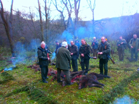 Diviačiky na výrade...