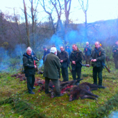 Diviačiky na výrade...