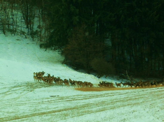 Taká menšia skupinka...