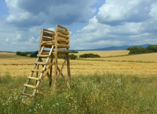 Taký malý posedík...