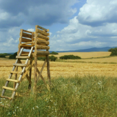 Taký malý posedík...