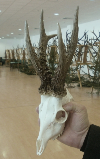 Pohľad z iného uhlu.