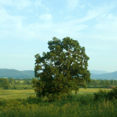 Podpoľanie...