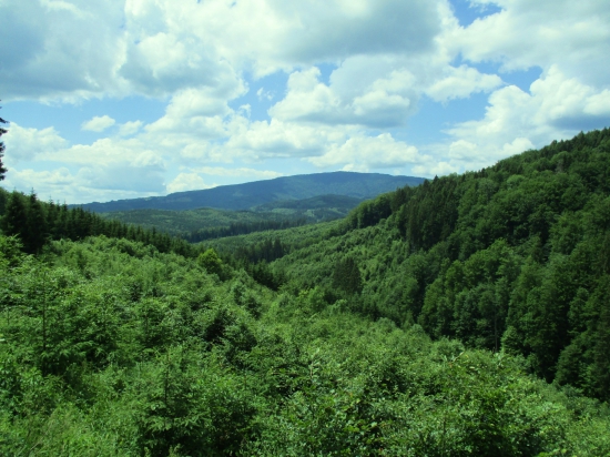 Poľana,Poľana nádherná si...