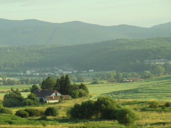 Z večernej čakanej.