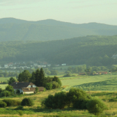 Z večernej čakanej.